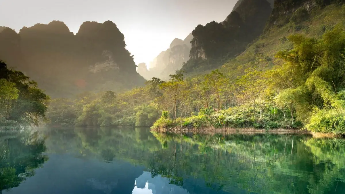 绿色可靠性独特