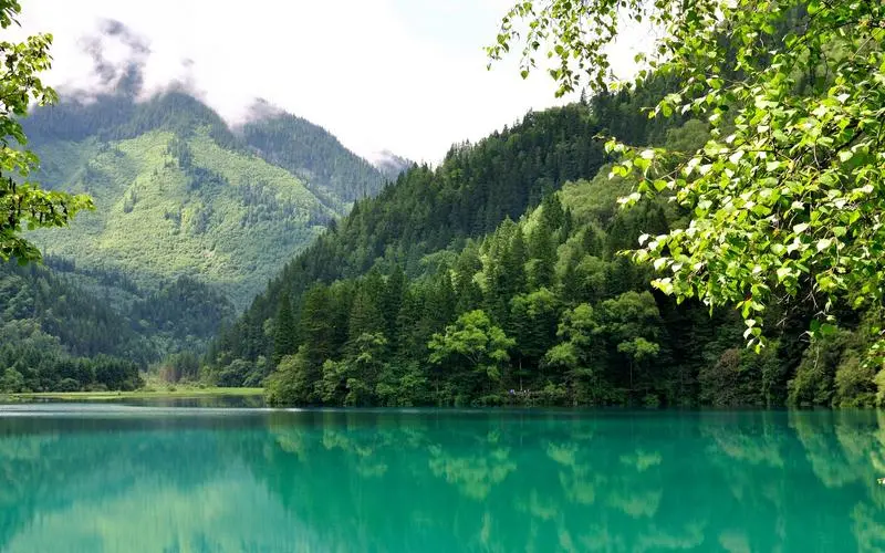 创新高端